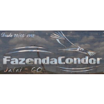 fazenda-condor